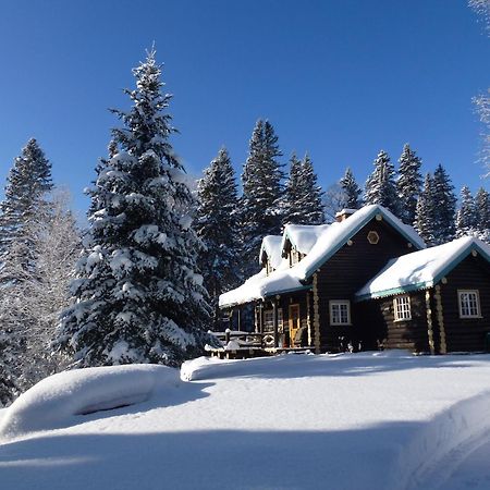 Domaine Le Bostonnais - Le Village En Bois Rond La Tuque Eksteriør bilde