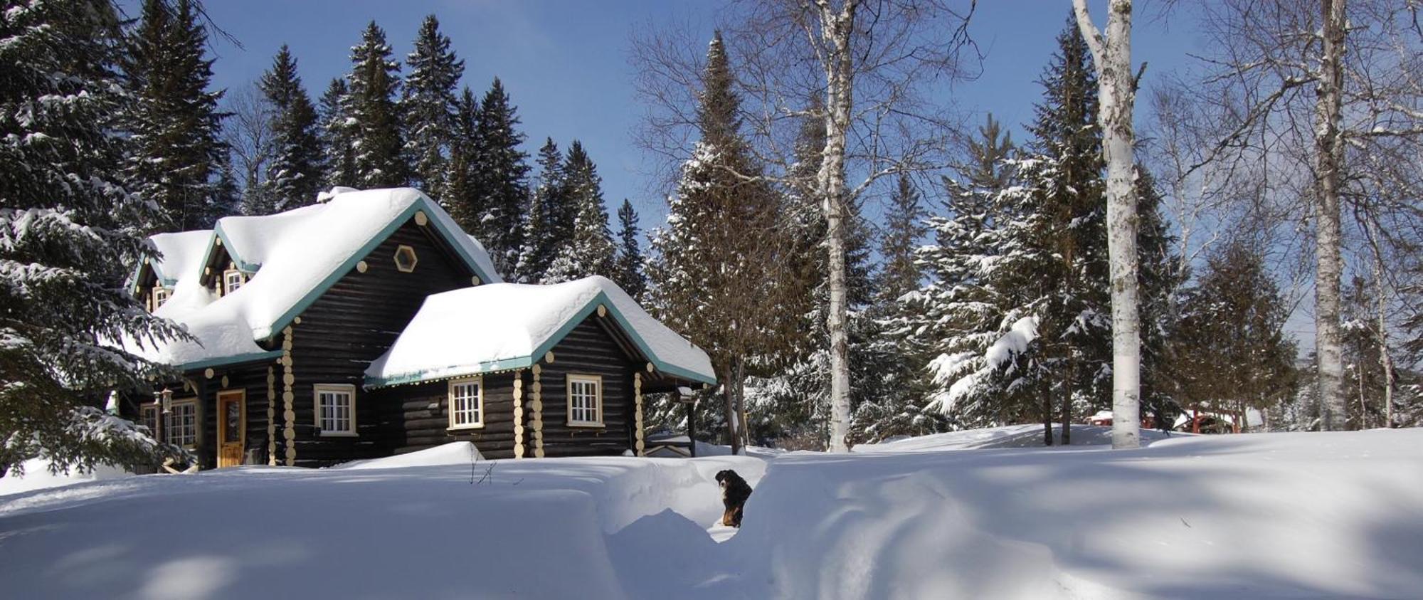 Domaine Le Bostonnais - Le Village En Bois Rond La Tuque Eksteriør bilde