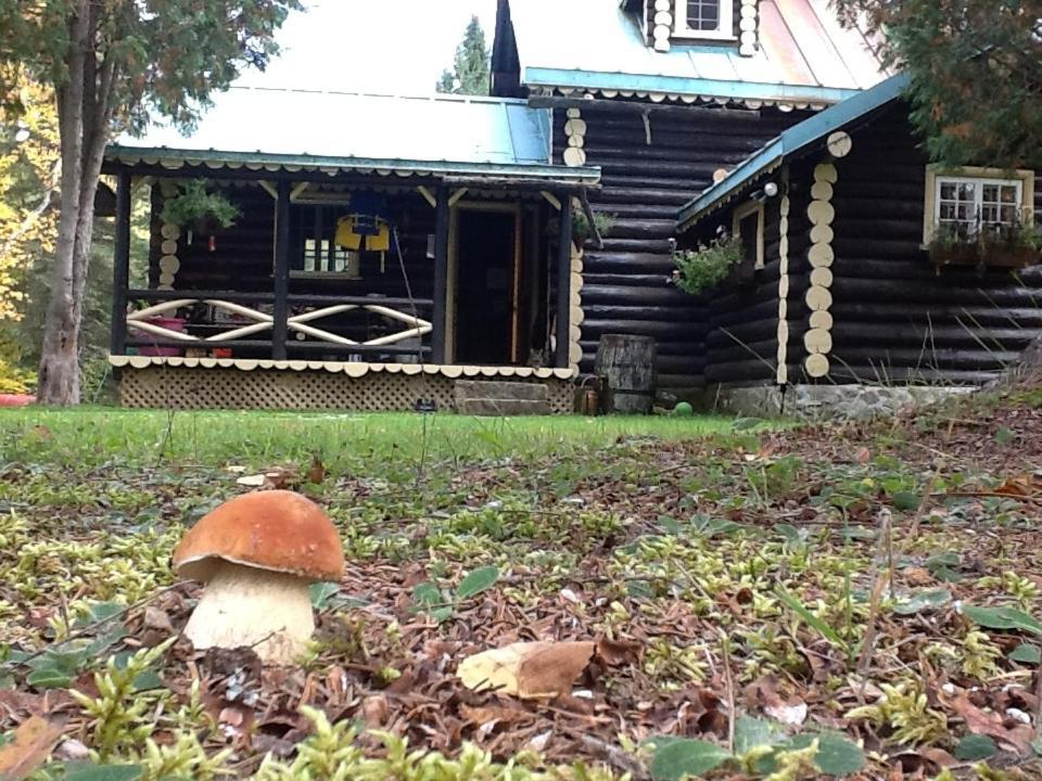 Domaine Le Bostonnais - Le Village En Bois Rond La Tuque Eksteriør bilde
